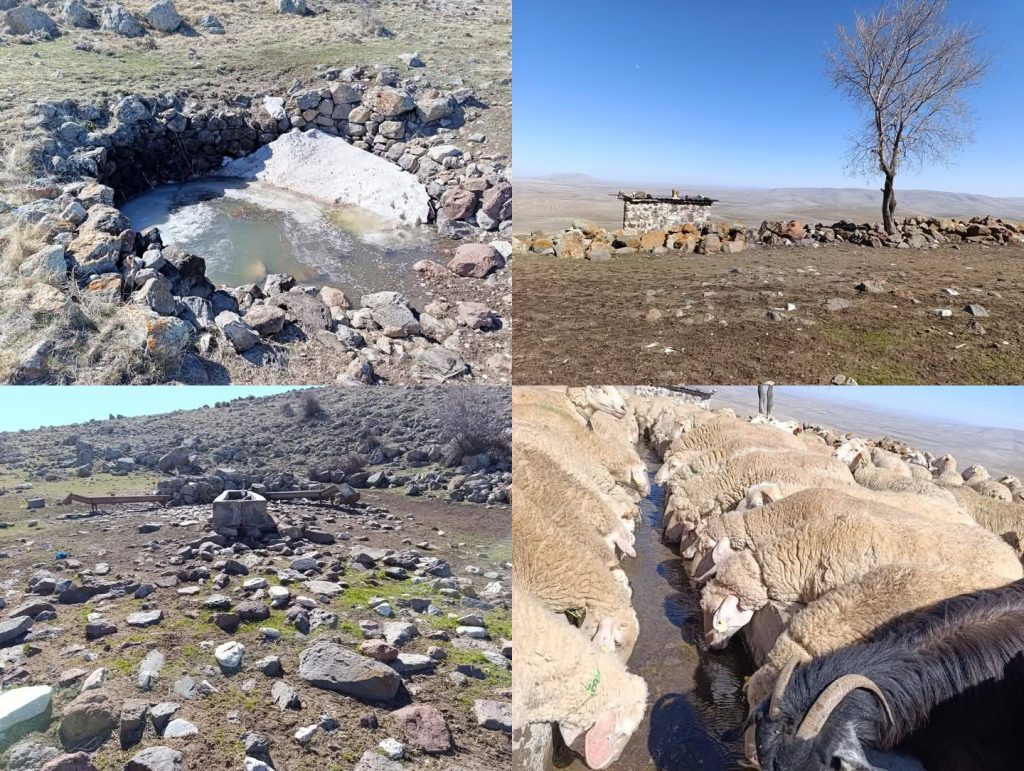 Yunak’ta Dağlık Alanlar da Ve Meralarda Bahar’ın Uyanışı Başlıyor.