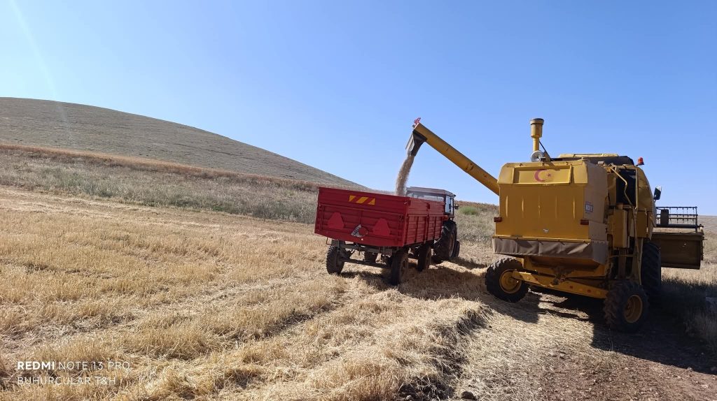 Kuraklık Yunak’ta Harman Zamanını Hüzne Dönüştürdü